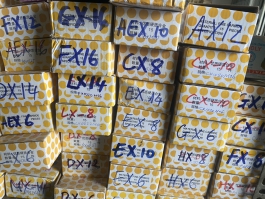 Mũi mài 6x16x6, đầu mài 6x16x6, mũi doa lỗ 6x16x6